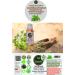 Nativilis Oregano Organic Essential Oil 30 ml (Origanum vulgare) - antioxidant antifungal anti-inflammatory properties weight management reduces skin blemishes - Copaiba Properties - Buy Online on GoSupps.com