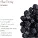 Blackthorn Dried Berries Organic Quality - Sloe Berries - Sherrys Berries 200g - Buy Online on GoSupps.com
