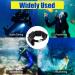 Scuba Weight Belt with 4 Detachable Pockets and Quick-Release Buckle | Adjustable Waist Strap for Diving and Snorkeling | Black - Buy Online on GoSupps.com