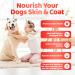 Skin & Coat Supplement For Dogs 140 Chews | For A Soft Silky Coat Relieve Dry Skin | Veterinarian-Formulated | Essential Omega-3 EPA and DHA Blend | Non-GMO No Fillers & Gluten Free - Buy Online on GoSupps.com