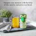 Republic of Tea Brain Boost Supergreen Green Tea Ginkgo Biloba and Matcha Blend - 36 Tea Bags - Buy Online on GoSupps.com
