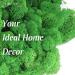 AMEICE Green Reindeer Moss: Natural Preserved Decor for Gardens, Terrariums & Crafts - Buy Online on GoSupps.com