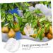 SEWOART Vegetable Mold Fruit Melon Shaping Mold Vegetable DIY Multifunction to Play with - Buy Online on GoSupps.com