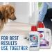 Hoover Oxy Spot Chaser Refill for Smartwash Pet Stain Remover 32 oz - Upholstery & Carpet Cleaning Solution AH31604 - Buy Online on GoSupps.com