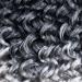Short 10 inch Grey Curly Crochet Hair for Black Women - Water Wave Ocean Wave Gogo Curl Crochet Braids (TGREY) - Buy Online on GoSupps.com