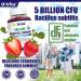 O!VITA Organic Probiotic Gummies - 5 Billion CFU Max Strength Strawberry Flavored Gut Health and Immune Support for Men Women and Kids (60 Non-GMO Gummies) - Buy Online on GoSupps.com