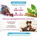 High Strength Ashwagandha Gummies - 1200mg with 5% Withanolides - Natural Raspberry Flavored Chewables - 75 Day Supply - UK Made - Buy Online on GoSupps.com