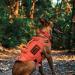 Oneigris Dog Harness | X Destroyer Tactical Adjustable Anti-Trail Harness - Ideal for All Breeds | International Shipping Available - Buy Online on GoSupps.com