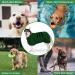 BasVII Microfiber Dog Bathrobe - Extra Absorbent & Quick Drying Adjustable Velcro Fastener for All Sizes - Perfect for Large Medium & Small Dogs - XXL Green - Buy Online on GoSupps.com