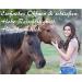 Leadership Knits with Panic Hooks for Horses - Stylish Leashes & Binding Tricks for Ponies Donkeys Goats (Green/Black) - Buy Online on GoSupps.com
