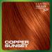 Natural Instincts Bold C64 Copper Sunset Permanent Hair Dye - 5.85 Fl Oz - Buy Online on GoSupps.com