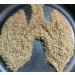 Mullein Leaf Tea Herb for Respiratory Support Mucous Membranes Lung Cleanse and Detox| Dried Leaves Blend Cut and Sifted| 1LB | Made in USA 16 Ounce (Pack of 1)