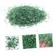 SOESFOUFU 1 Glass Chip Mirror Vase Nail Accessories Crushed Crystal Chips Nail Rhinestones Chips in Bulk Nail Jewels Rhinestones Epoxy Resin Filler Diy Jewelry Drill Manicure 0.5X0.3cm Green - Buy Online on GoSupps.com