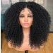 Annivia Curly Lace Front Wig Pre Plucked Kinky Curly Afro Wigs for Black Women 13x4 x1 HD T Part Lace Frontal Wig Long Curly Glueless Synthetic Lace Front Wig Black 17inch