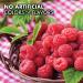 Bluebonnet Nutrition Liquid Methylcobalamin Vitamin B12 - Raspberry Flavor 1000 mcg, 2 fl oz - Buy Online on GoSupps.com