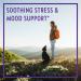 New Chapter Perfect Calm Multivitamin for Stress & Mood Support - 144 Count Calming Formula with B Vitamins, Holy Basil, Lemon Balm & Organic Non-GMO Ingredients - Buy Online on GoSupps.com