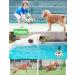 Tiyupa Dog Football - Interactive 15cm Floating Toy Ball with Pump for Small & Medium Dogs | Durable & Fun Outdoor Indoor Play - Buy Online on GoSupps.com