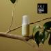 SUPEREGG Vitamin Collective Vitality Elixir - Brightening Treatment Serum with Vitamins B C E F K & Sea Moss - 30 ML | International Shipping Available - Buy Online on GoSupps.com