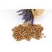 Yoption 360 Pcs Metallic Antique Gold Sealing Wax Beads Set for Wax Seal Stamp with Candles and Melting Spoon - Buy Online on GoSupps.com