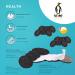 Biped Health Heel Cushions - 3 Pairs Self-Adhesive Heel Protectors for Large Shoes | Bladder & Wound Prevention | Z2804 Black 6mm - Buy Online on GoSupps.com