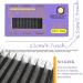 YY Lashes 0.05mm C/D Curl - 10/11/12mm Y Shape Eyelash Extensions | 2D 12 Rows Natural Soft Easy Application for Lash Artists - Salon Quality | International Shipping - Buy Online on GoSupps.com