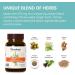 Himalaya LiverCare Herbal Supplement - 375 mg Vegan & Non-GMO Liver Support Bile Production & Liver Cleanse - 180 Capsules (2 Pack) - 180 Day Supply - Buy Online on GoSupps.com