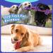GaiusiKaisa XL Dog Chew Rope Toys for Aggressive Chewers 5 Pcs Indestructible Dog Toys for Large and Medium Dogs Cotton Dog Rope Toys Tough Dog Bones for Aggressive Chewers Large Breed XL-5pcs - Buy Online on GoSupps.com