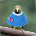 DOITOOL 4 pcs Pet for Puppy Anti-Biting Protector Collars Recovery Ring Birds Cloaks Protective 15X10X0.1cmx2pcs Blue Brownx2pcs - Buy Online on GoSupps.com