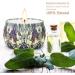 Yinuo Candle Gift Set for Women | 8 Soy Wax Aromatherapy Candles - Perfect for Mother's Day Christmas Birthdays & Valentine's Day - Buy Online on GoSupps.com