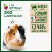 HOPI Complementary food for Guinea Pigs - 80 Vitamin C Tablets to chew - Beetroot flavor - No Preservatives No Coloring 100% Natural - Made in France - Buy Online on GoSupps.com