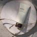 AHAVA Dead Sea Mineral Hydration Cream Mask - Nourishing Face Mask - Buy Online on GoSupps.com