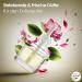 Fresh Line 19ml Refill Bottles - Air Freshener Compatible with Air Wick - 12 Vanilla Fragrance Plugs - Fragrance Dispenser Replacement - International Shipping - Buy Online on GoSupps.com
