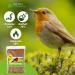 Premium 1kg Dried Mealworms - High Protein Flourworms for Reptiles Birds Fish & More | International Shipping Available - Buy Online on GoSupps.com