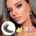 ALICE Cat Eye Lashes D Curl Russian Strip Lashes 17mm Fluffy False Eyelashes Clear Band Eyelashes Dramatic Faux Mink Lashes 8 Pairs 9 Pairs- P9 - Buy Online on GoSupps.com