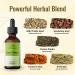 HERBAMAMA Liver Cleanse & Repair Liquid Drops - Herbal Supplement w/ Dandelion & Milk Thistle for Liver Detox - 2 fl. Oz Bottle - Buy Online on GoSupps.com