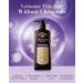 Dr. Groot Intensive Care Hair Loss Control Shampoo for Thin Hair (400 ml) - Biotin, Collagen & Retinol Formula for Men and Women - Buy Online on GoSupps.com