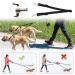 Double Dog Lead Double Ended Lead For Dogs Adjustable Double Lead For 2 Dogs 360 Rotation Dog Leash Coupler Double Dog Lead For Walking 2 Dogs No Tangle(Black) - Buy Online on GoSupps.com
