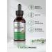 Milk Thistle Extract | 2 fl oz Alcohol-Free Liquid | Vegetarian, Non-GMO & Gluten-Free by Horbaach - Buy Online on GoSupps.com