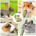 Timothy Hay Sticks | 25 Natural Treats for Rabbits Guinea Pigs Hamsters & Chinchillas - Healthy Chew Toys - Buy Online on GoSupps.com