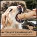 Supravit Natural Chewing Bones for Dogs | Exciting Coffee Wood Dog Toys | Long-Lasting Chewing Fun | Caustab Chewing Wood - Buy Online on GoSupps.com