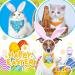 Easter Dog Bandana Set - 20 Pcs Washable Triangle Bibs for Dogs & Cats - Rabbit, Egg, Carrot Design - Adjustable & Washable Pet Scarfs - Easter Pet Accessories - Buy Online on GoSupps.com