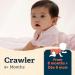GERBER Stage 3 Wheat Biscuit Baby Cereal 6 Boxes 1.4 kg Unflavored - Buy Online on GoSupps.com