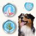 Buy Beaphar Dental Sticks for Small Dogs - Natural Sea Algae Sugar-Free Snack - 7 Pieces 112g (2 Pack) - International Shipping Available - Buy Online on GoSupps.com