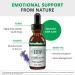 NutraMedix Ezov Hyssop Plant Drops - Liquid Supplement for Stress Management Relaxation Antioxidant Support & Gut Health - Liquid Herb Extract for Mood & Emotional Support (1oz / 30ml) - Buy Online on GoSupps.com