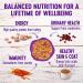 Wellness Complete Grain-Free Wet Cat Food - Turkey & Salmon Entrأ©e, Natural Ingredients, Made in USA, 3oz - 24 Pack - Buy Online on GoSupps.com