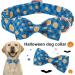 Shop Aring Pet Halloween Dog Halison - Adjustable Cotton Plaid Pumpkin Band for All Dog Sizes | Perfect Halloween Accessory - Buy Online on GoSupps.com