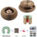 PetHse Magic Organ Cat Scratching Board - Interactive Scratch Pad Toy with Toy Bell Ball - Buy Online on GoSupps.com