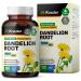 Dandelion Root Capsules - Dandelion Root Supplement - Vegan Dandelion Powder Capsules 1800 mg for Digestion Liver Support Cleansing and Immunity - 100 Caps 100 Count (Pack of 1)