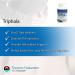 Triphala GI Tract Wellness 1000 mg - 180 Tablets | Planetary Herbals - Buy Online on GoSupps.com