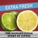Buy Old Spice Hydro Wash Body Wash for Men - Extra Fresh 16 Oz (Pack of 4) - International Shipping Available - Buy Online on GoSupps.com